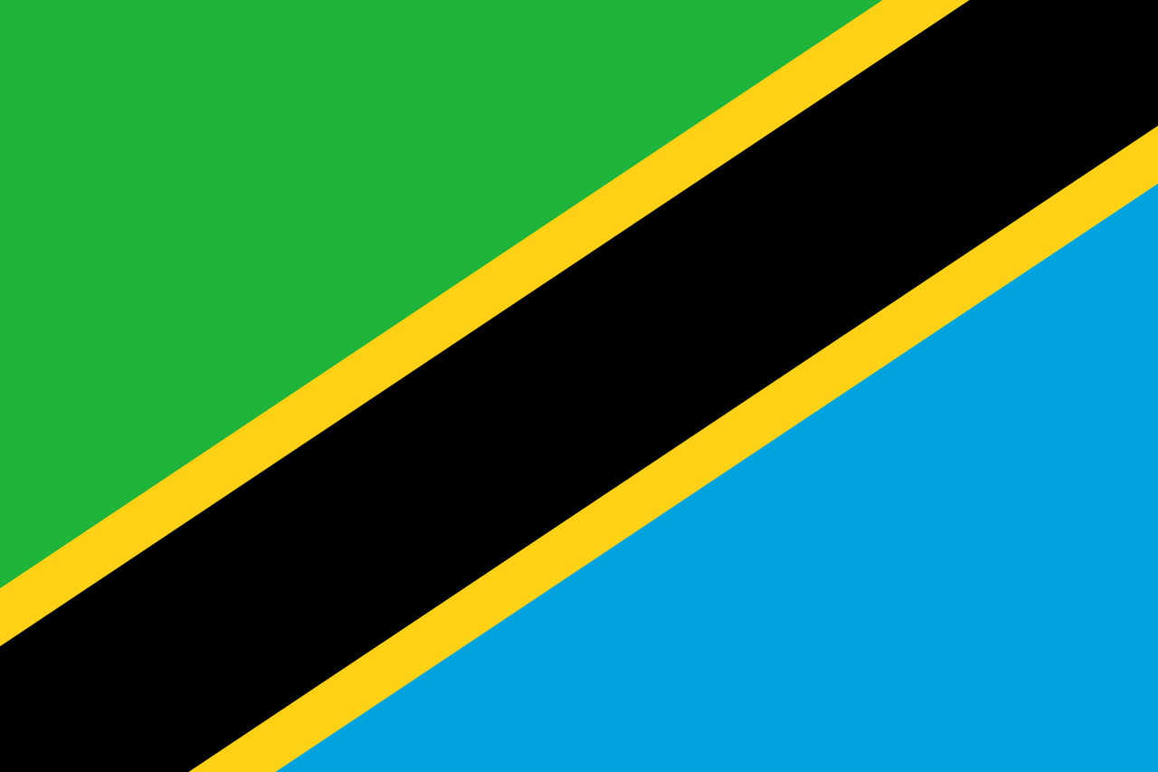 Tanzania's mega hydropower project gets connected to national grid