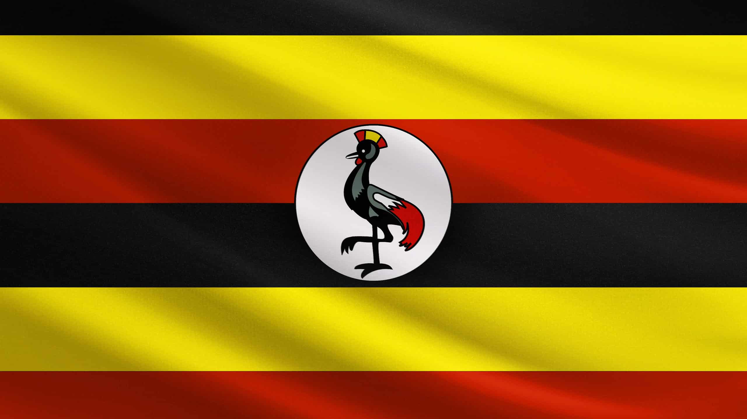 Tests rule out dangerous infection in woman hospitalised after Uganda trip