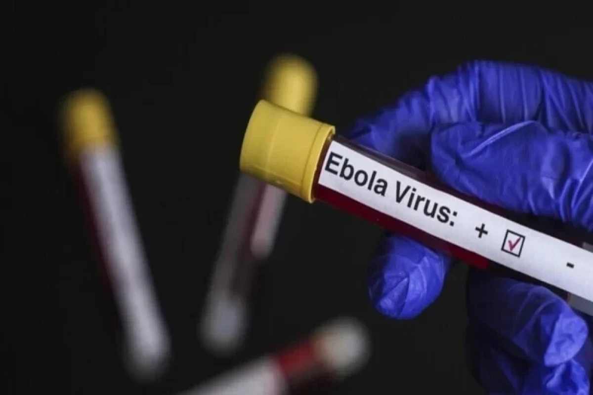 Nigeria places 10 states on high alert over Ebola risk