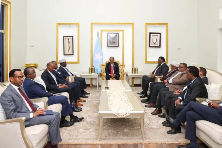 Somalia’s Future Council: Government loses constitutional legitimacy; call for transitional authority