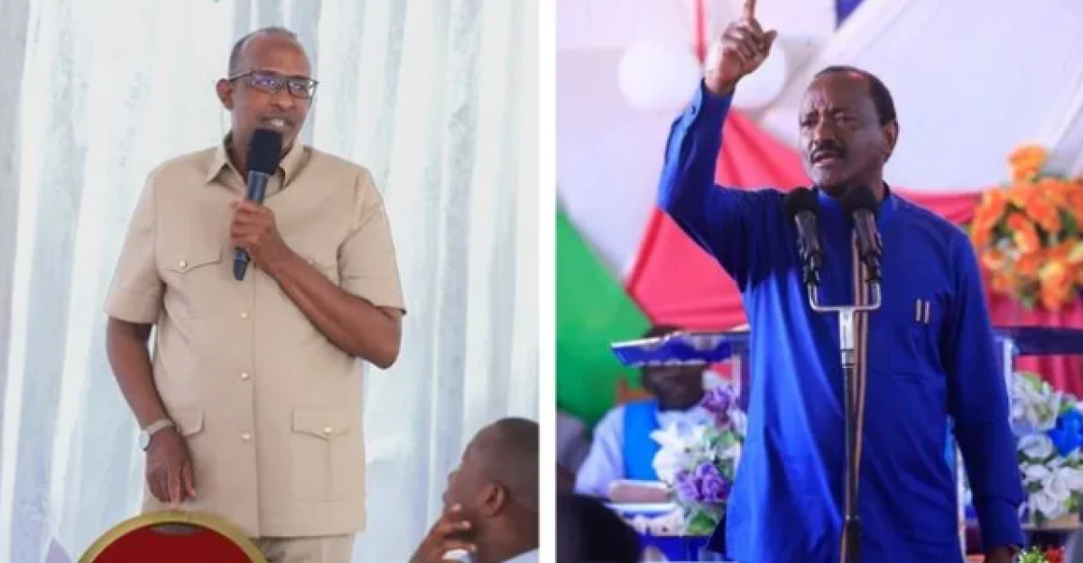 You are unfit for office!' Kalonzo tells Duale over tribal remarks